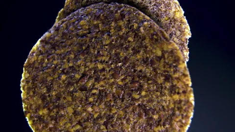 Textured Surface of Fruit and Seed Crisp Rotating, Extreme Macro Vídeo Stock 345611025