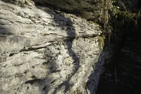 Textured surface of a limestone rock with rough texture and plants Stock Photos