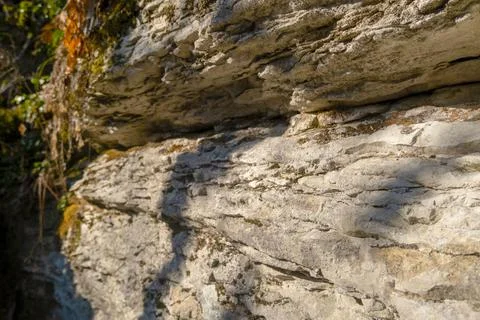 Textured surface of a limestone rock with rough texture and plants Stock Photos