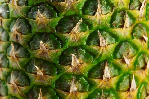 Textured surface of pineapple in full length as a background. Pineapple skin Stock Photos