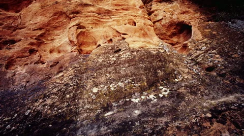 Textured surface of rocks 動画素材 46059326