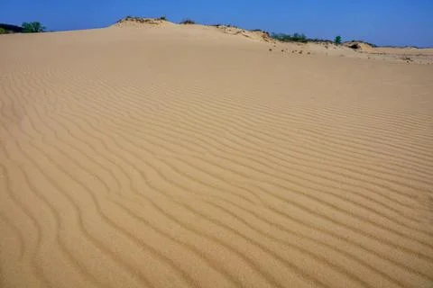 The textured surface of the sandy desert Stock Photos