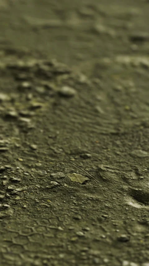 Textured surface showing details of erosion and natural wear in muted colors Stock Footage 327265732