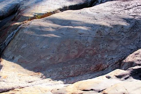 Textured surface of stone in a forest Foto stock