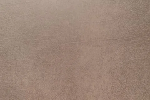 A textured surface with subtle lines and organic patterns, resembling aged .. 스톡 사진