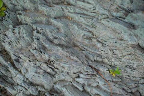 Textured texture of the stone by the river Stock Photos