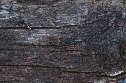 Textured vintage background. Dark texture close-up. Grunge wood material surf Stock Photos