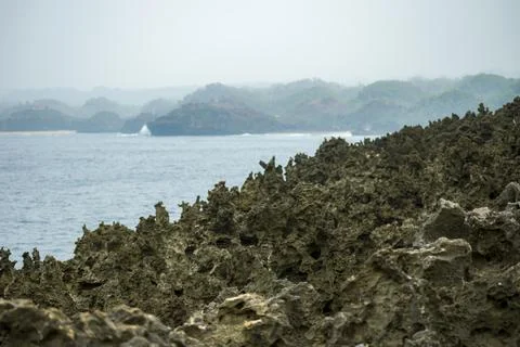 Textured volcanic formations lining a remote tropical coastline. Stock Photos