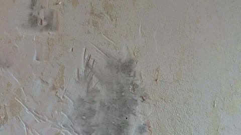 Textured wall background with peeling paint and scratches for creative and .. Video stock 325859487