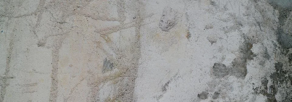 Textured wall with gray. slightly light gray concrete cement texture for ba.. 스톡 사진