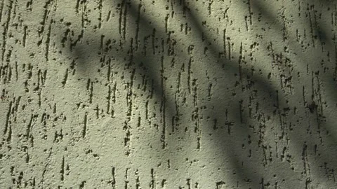 Textured wall of the house Stock Footage 159866907