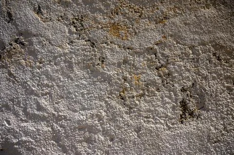 Textured wall with intricate patterns and subtle hues showcasing nature's a.. Stock Photos