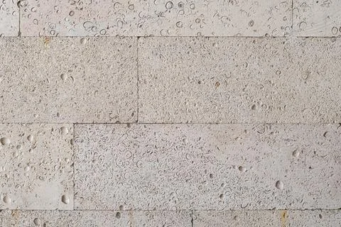 Textured wall lined with shell rock tiles. Stock Photos