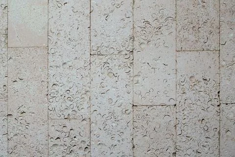 Textured wall lined with shell rock tiles. Stock-Fotos