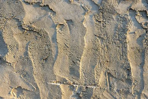 Textured wall with natural patterns showcasing earth tones under sunlight Stock Photos