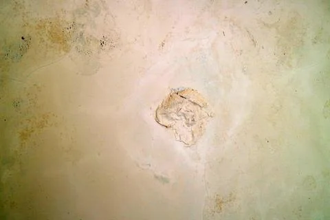 Textured Wall with Repair Patch Stock Photos