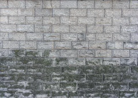 Textured Wall Surface Gray Blocks Moss Growth Patterns Detail Stock Photos