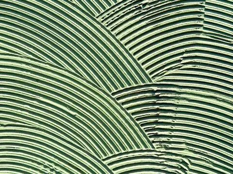 Textured wall surface with layered circular patterns in green color. Abstract Photos