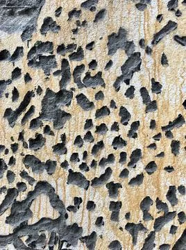 Textured wall surface Stock Photos