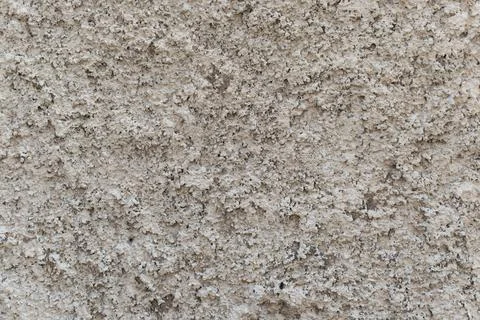 Textured wall surface showcasing intricate patterns and subtle color variat.. 스톡 사진