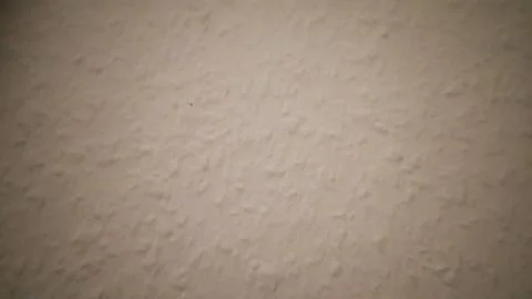 Textured wall surface with subtle variations in light and shadow during a q.. Stock Photos