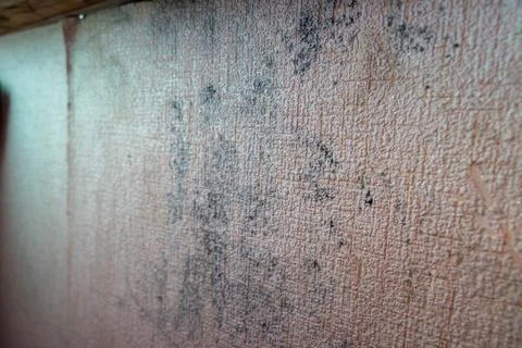 Textured wall surface with visible stains and marks, showcasing a weathered Stock-Fotos