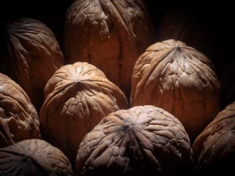 Textured walnut Stock Photos
