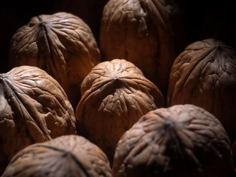 Textured walnut Stock Photos