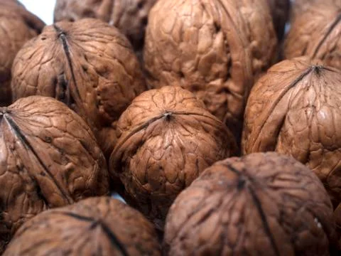 Textured walnut Stock Photos
