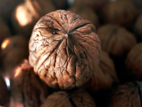 Textured walnut Stock Photos