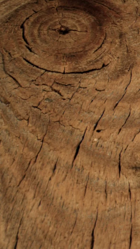 Textured Weathered Timber With Rich Tones Perfect For Backgrounds Stock Footage 333426909