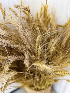 Textured Wheat Backdrop Stock Photos