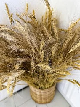 Textured Wheat Backdrop Stock Photos