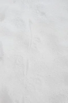 Textured White Paper Background Foto stock