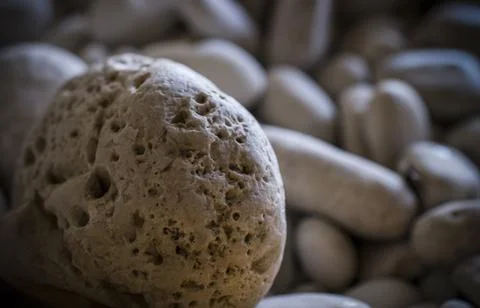 Textured white pebbles Stock Photos