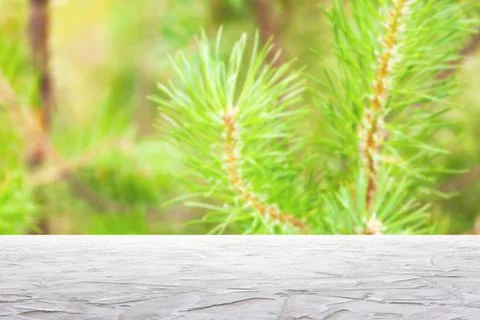 Textured white surfaceon on blur pine branches background Stock Photos