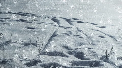 Textured Winter Background Loop Stock Footage 202534416