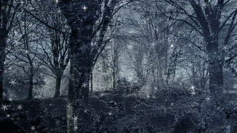 Textured Winter Background Loop Stock Footage 202536712