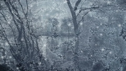 Textured Winter Background Loop Stock Footage 202547913