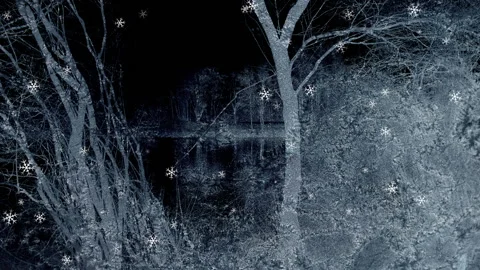 Textured Winter Background Loop Stock Footage 202549739