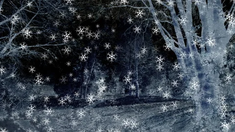 Textured Winter Background Loop Stock Footage 202561299