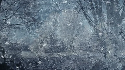 Textured Winter Background Loop Stock Footage 202563542