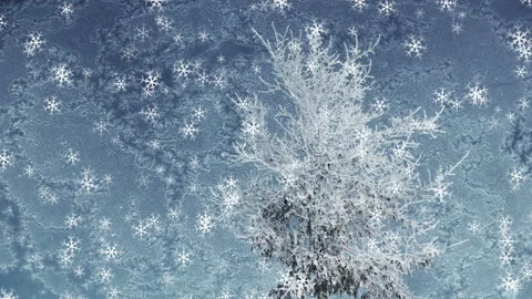 Textured Winter Background Loop Stock Footage 202571361