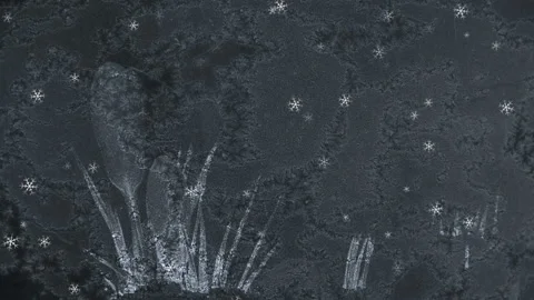 Textured Winter Background Loop Stock Footage 202572750