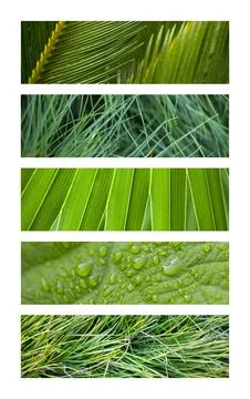 Textures and backgrounds Stock Photos