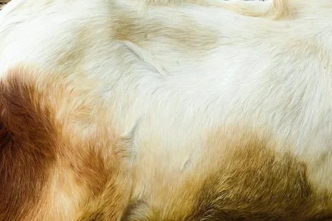 Textures background Stock Photos