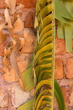 Textures Backgrounds Stock Photos