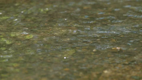 Textures of clear river water, current in shallow water Video stock 137806659