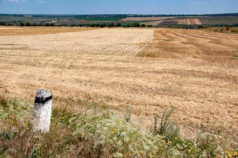 Textures of countryside.  Summer view of fields on hill Stock Photos