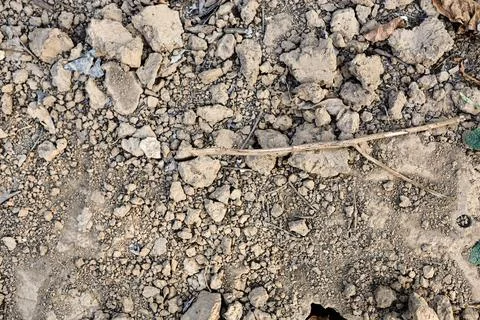 Textures On The Cracked Ground Stock Photos